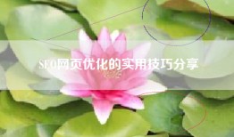 SEO网页优化的实用技巧分享