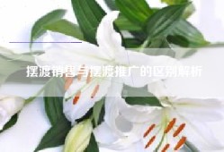 摆渡销售与摆渡推广的区别解析