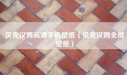 贝克汉姆高清手机壁纸（贝克汉姆全屏壁纸）