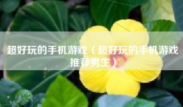 超好玩的手机游戏（超好玩的手机游戏推荐男生）