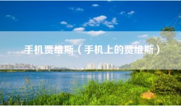手机贾维斯（手机上的贾维斯）