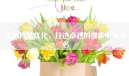 常德网站优化，打造卓越的搜索引擎排名