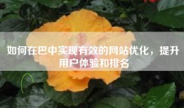 如何在巴中实现有效的网站优化，提升用户体验和排名