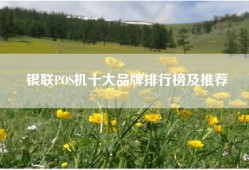 银联POS机十大品牌排行榜及推荐