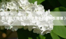 贵手机（贵手机和便宜手机区别在哪里）