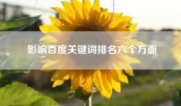 影响百度关键词排名六个方面