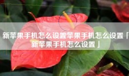 新苹果手机怎么设置苹果手机怎么设置「新苹果手机怎么设置」