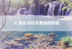 02 竞价员经常遭遇的问题