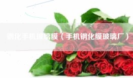 钢化手机玻璃膜（手机钢化膜玻璃厂）