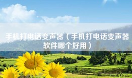 手机打电话变声器（手机打电话变声器软件哪个好用）