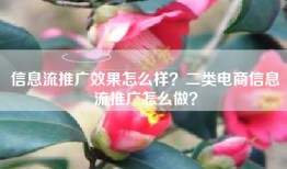 信息流推广效果怎么样？二类电商信息流推广怎么做？