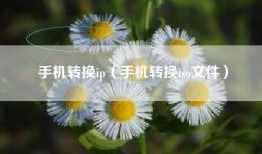 手机转换ip（手机转换iso文件）