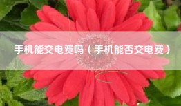 手机能交电费吗（手机能否交电费）
