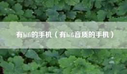 有hifi的手机（有hifi音质的手机）
