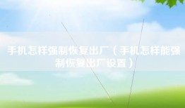 手机怎样强制恢复出厂（手机怎样能强制恢复出厂设置）