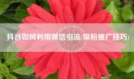 抖音如何利用微信引流(吸粉推广技巧)