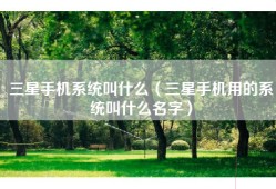 三星手机系统叫什么（三星手机用的系统叫什么名字）