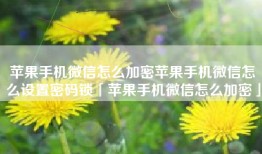 苹果手机微信怎么加密苹果手机微信怎么设置密码锁「苹果手机微信怎么加密」