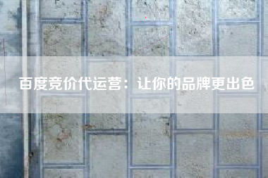 百度竞价代运营：让你的品牌更出色