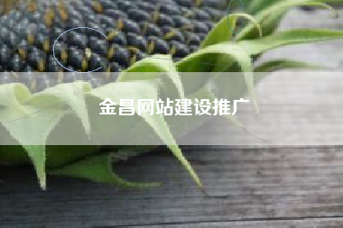 金昌网站建设推广