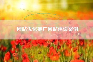 网站优化推广网站建设案例