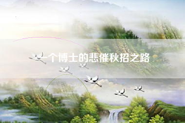一个博士的悲催秋招之路 一个博士的悲催秋招之路