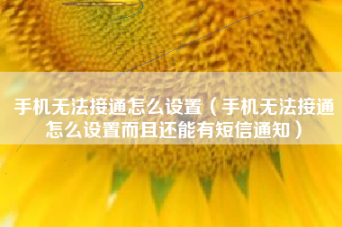 手机无法接通怎么设置（手机无法接通怎么设置而且还能有短信通知）
