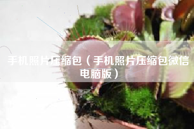 手机照片压缩包（手机照片压缩包微信电脑版）