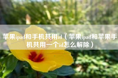苹果ipad和手机共用id（苹果ipad和苹果手机共用一个id怎么解除）