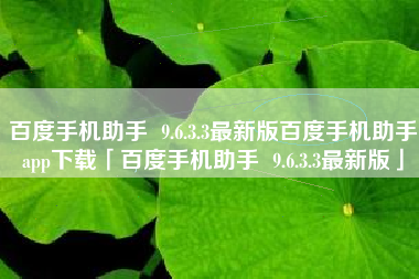 百度手机助手  9.6.3.3最新版百度手机助手app下载「百度手机助手  9.6.3.3最新版」