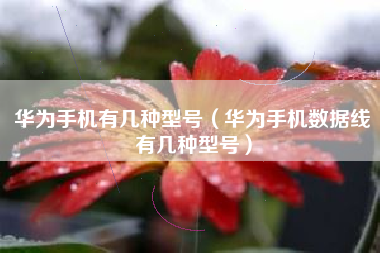 华为手机有几种型号（华为手机数据线有几种型号）