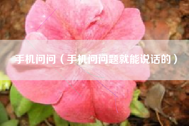 手机问问（手机问问题就能说话的）