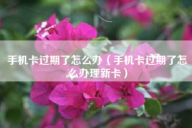 手机卡过期了怎么办（手机卡过期了怎么办理新卡）