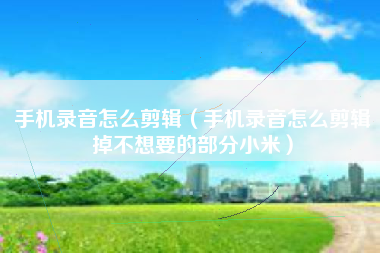 手机录音怎么剪辑（手机录音怎么剪辑掉不想要的部分小米）