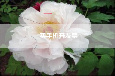 买手机开发票