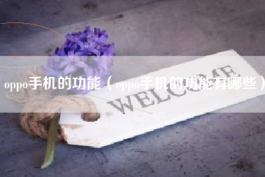 oppo手机的功能（oppo手机的功能有哪些）