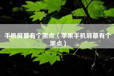 手机屏幕有个黑点（苹果手机屏幕有个黑点）