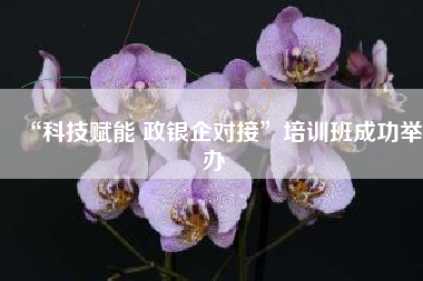 “科技赋能 政银企对接”培训班成功举办